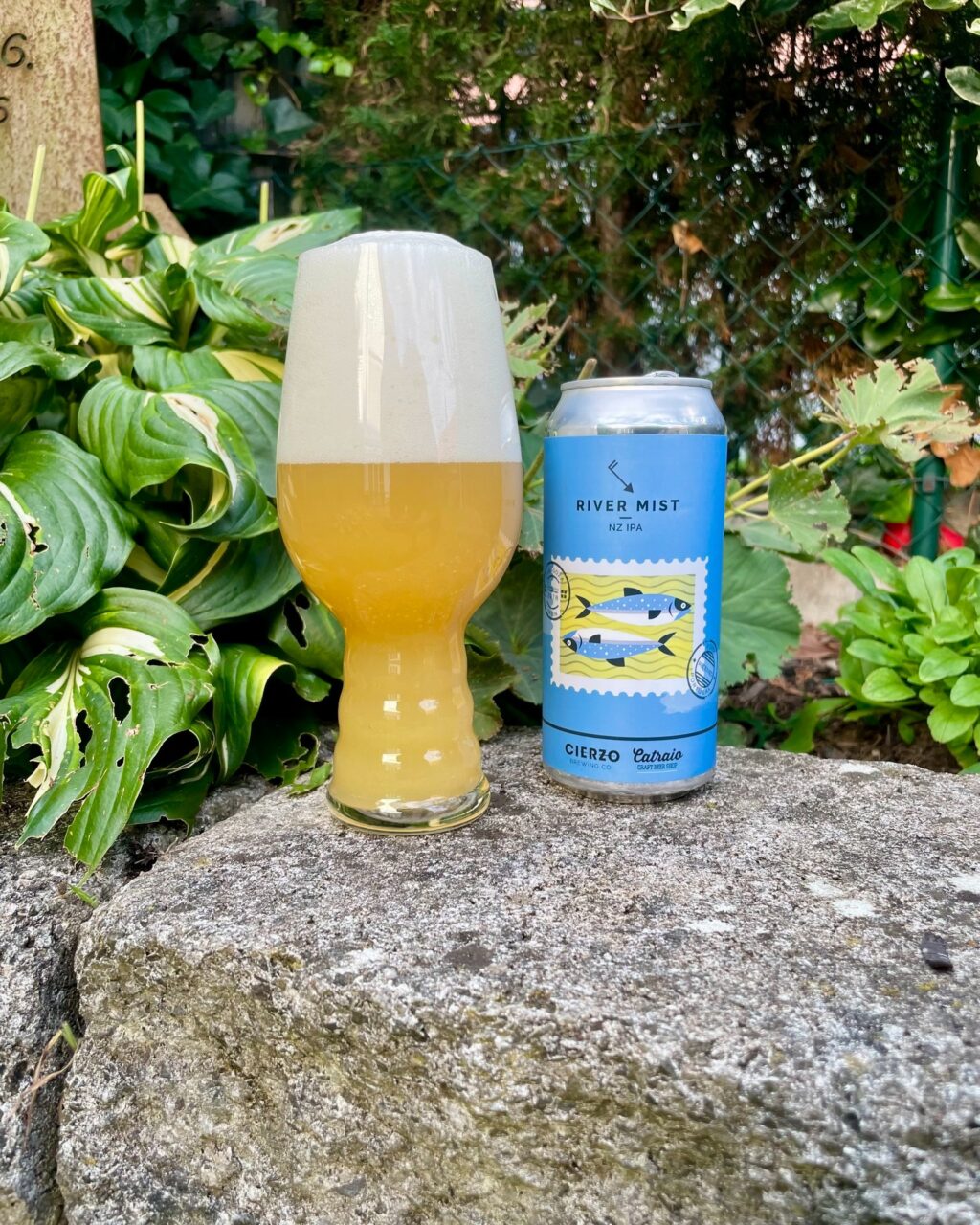 Instagram post from bierkultur.renkamp. This post is in position 9.