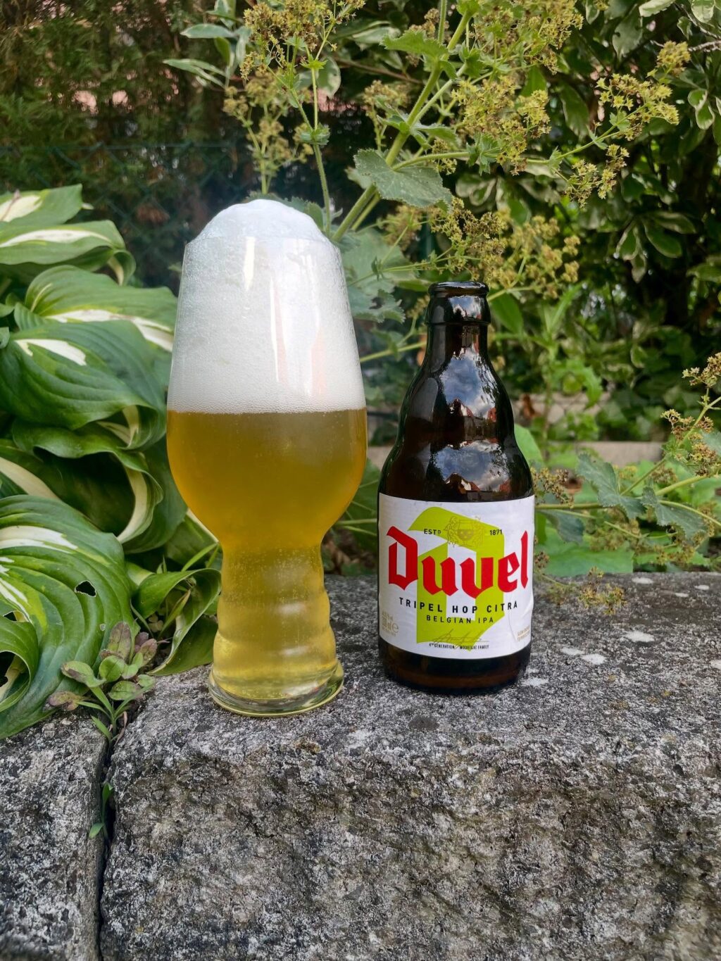 Instagram post from bierkultur.renkamp. This post is in position 13.