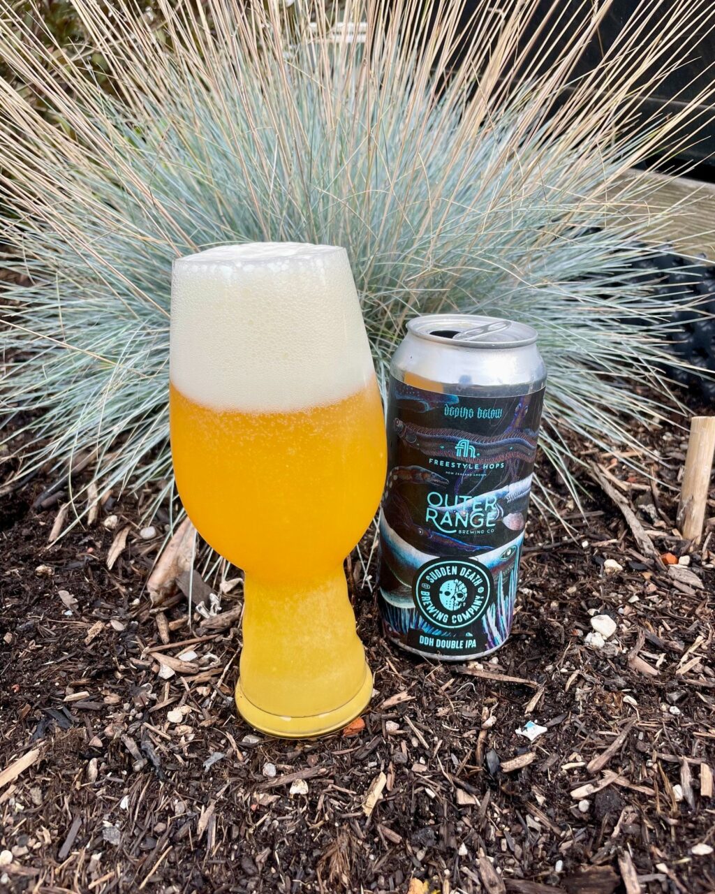 Instagram post from bierkultur.renkamp. This post is in position 6.