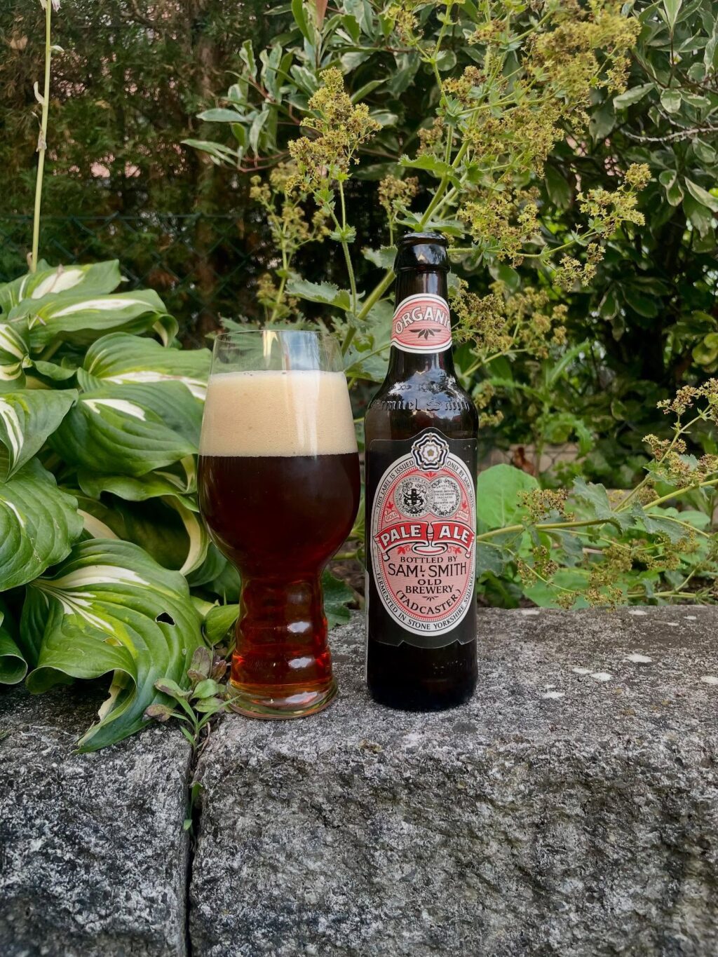 Instagram post from bierkultur.renkamp. This post is in position 17.